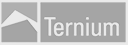 Ternium - proveedor de Insarq